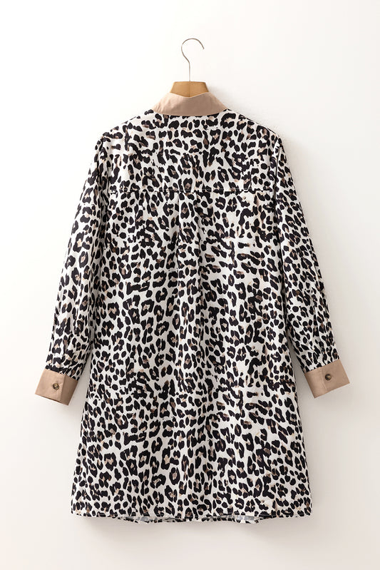 Multicolour Button Striped Collar Leopard Print Long Sleeve Flared Dress