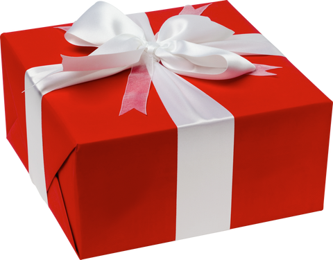 New Year women's fashion gifts – New Style for 2025