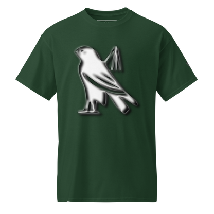 🇬🇧 🏆 Premium® T-Shirt CaRaUaNa Storic V2 Carauana Store