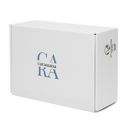 CARAUANA Hip Hop canvas shoes Pink Branded Carauana Store